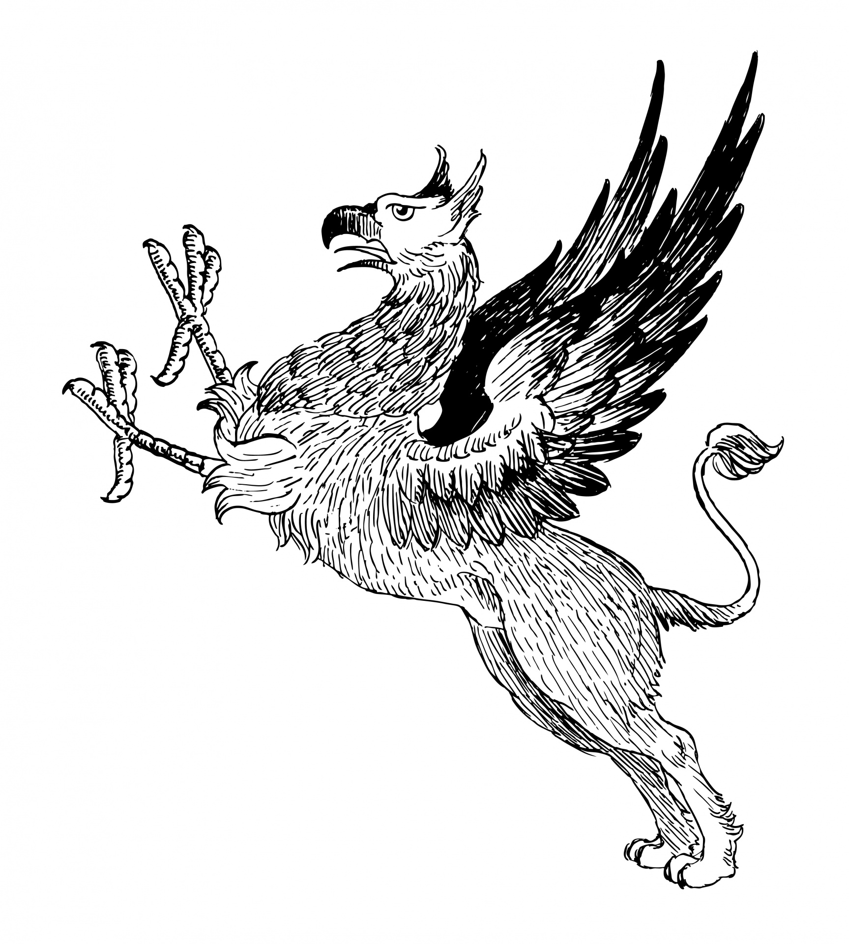 griffin-mythical-creature-clipart